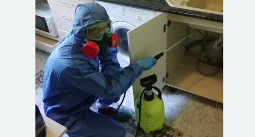 Уничтожение муравьев в квартире. Лабытнанги