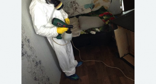 Дезинсекция помещения в Лабытнанги