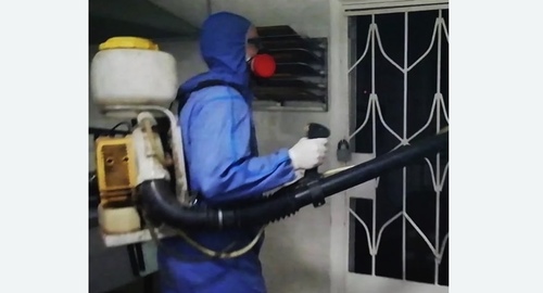 Дезинфекция от тараканов. Лабытнанги