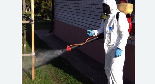 Уничтожение клещей на участке в Лабытнанги