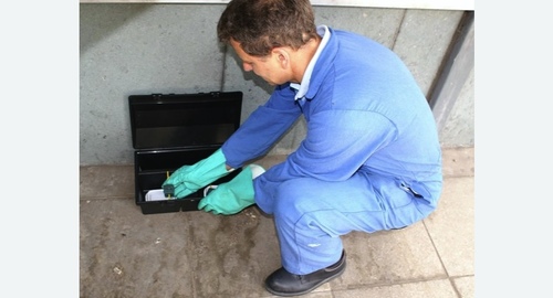 Уничтожение мышей. Лабытнанги