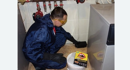 Дератизация крыс. Лабытнанги