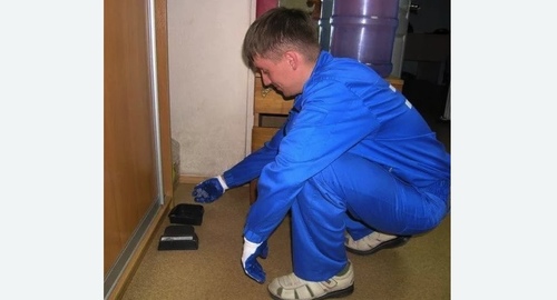 Обработка от крыс в Лабытнанги