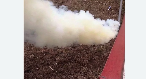 Уничтожение кротов на участке в Лабытнанги