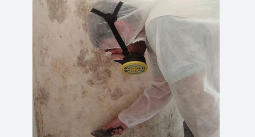Обработка стен от плесени в Лабытнанги