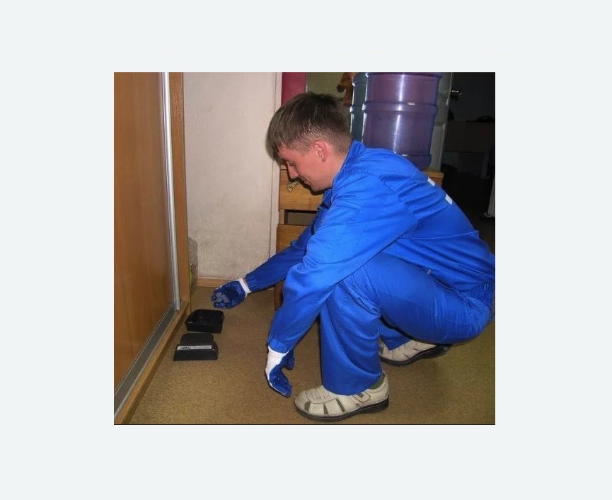 Дератизация крыс в Лабытнанги