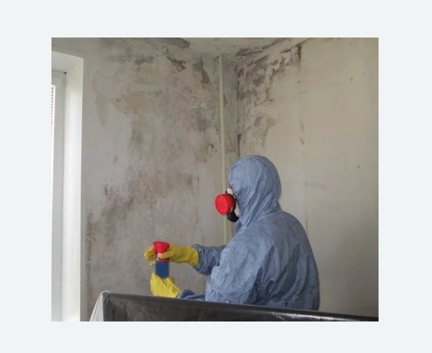 Удаление плесени в квартире в Лабытнанги