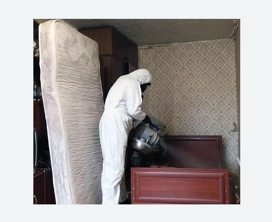 дезинфекция от клопов в Лабытнанги