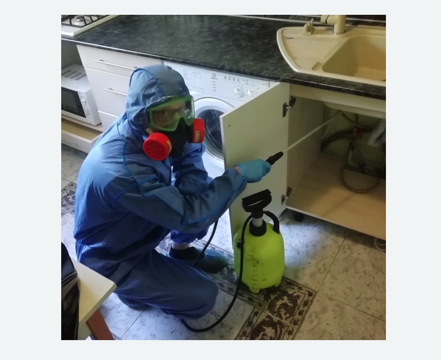 обработка от муравьев в квартире в Лабытнанги