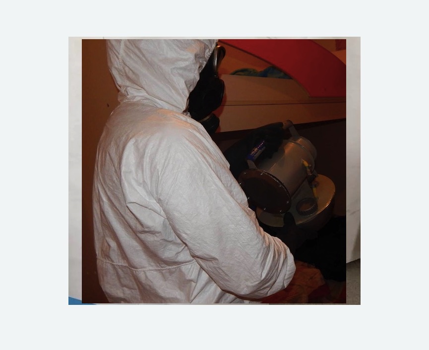 Дезинфекция от муравьев в Лабытнанги