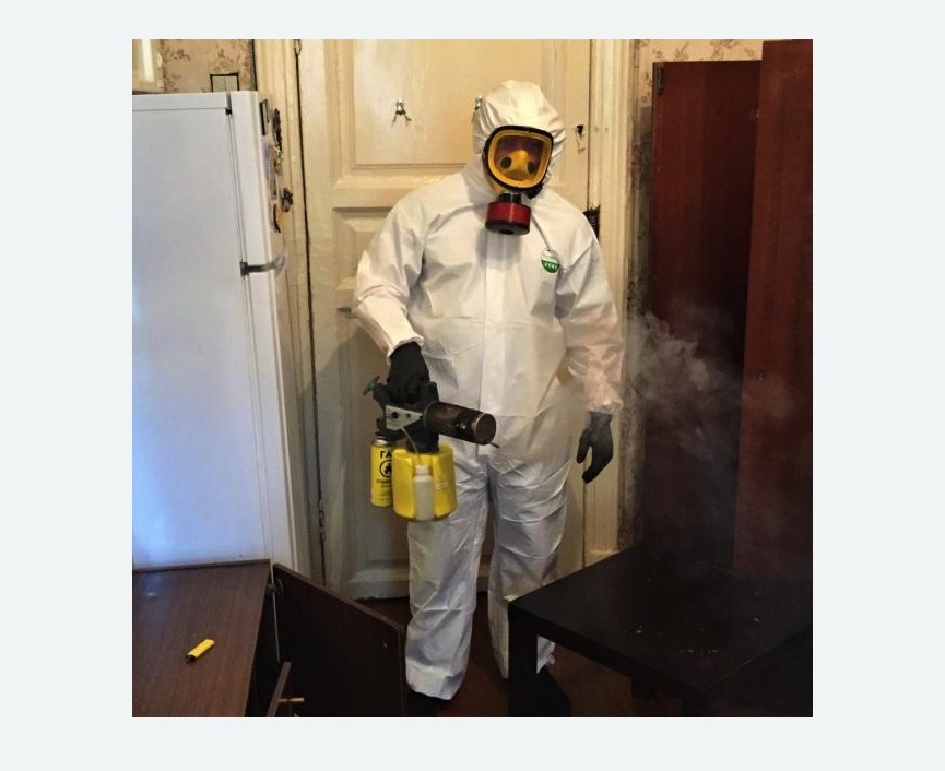 уничтожение муравьев в квартире в Лабытнанги